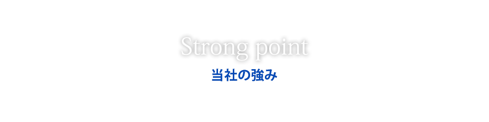 Strong pointЂ̋